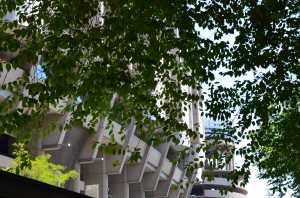 DSC_0251