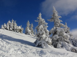 11_12_23 - Skifahren Walmendingerhorn 008.JPG