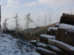 12_02_10 - MTB Runde und Skitag am Mehliskopf 006.JPG